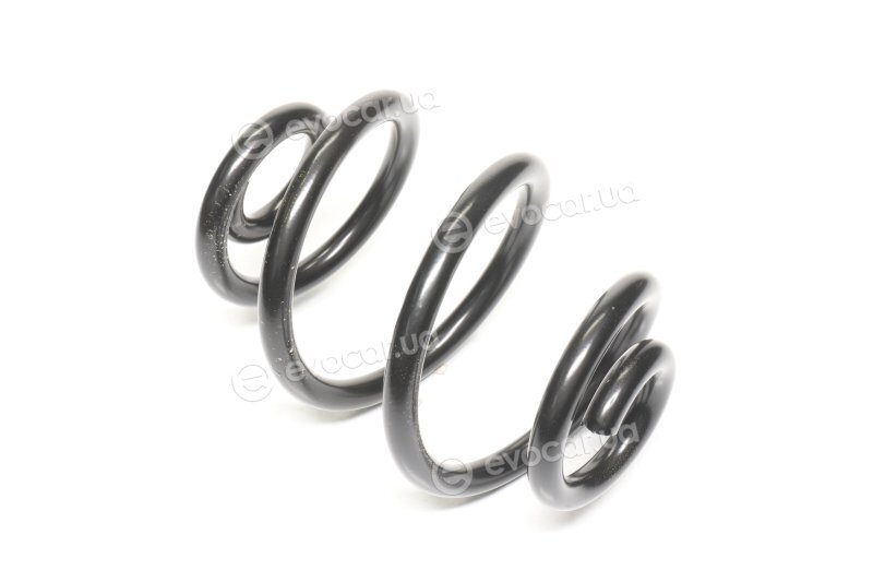 Lesjofors 4208431