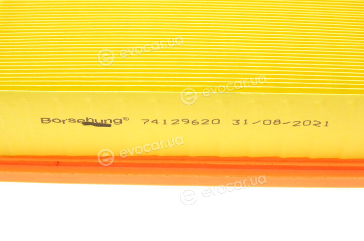 Borsehung B12213