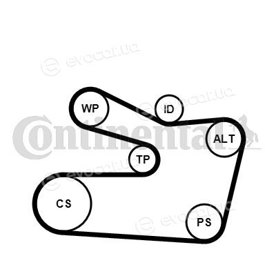 Continental 6PK1733K2