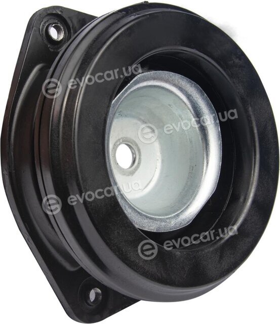 Raiso RC02449