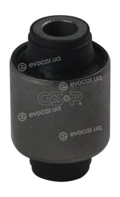 GSP 516541