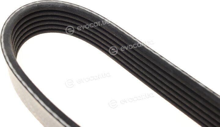 Dayco 6PK1178