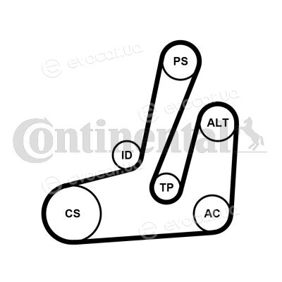 Continental 6PK1390K1