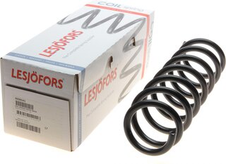 Lesjofors 4008541