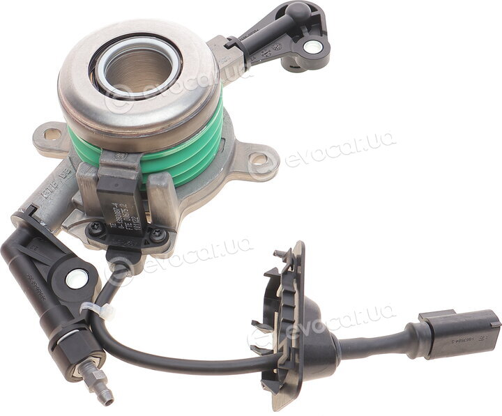 FTE 1200036