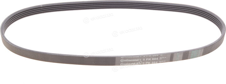 Continental 5PK884