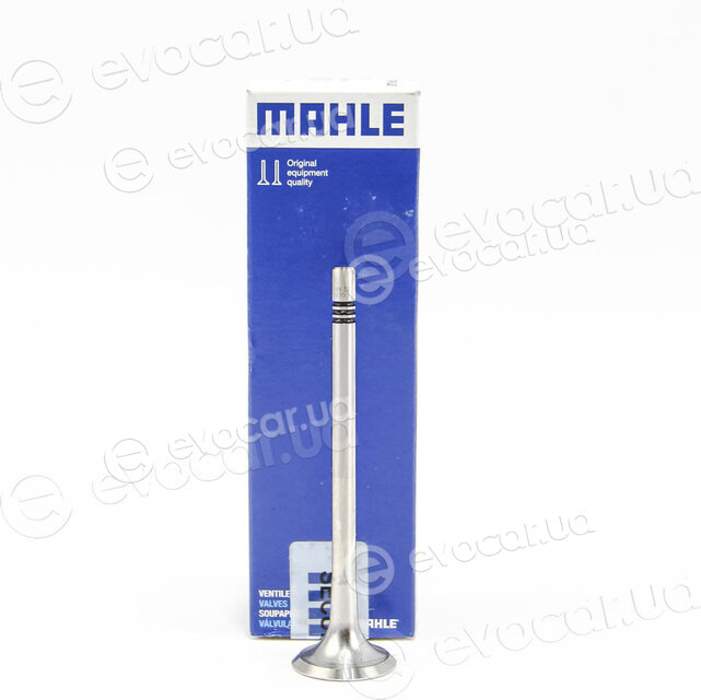 Mahle 029 VA 31993 000