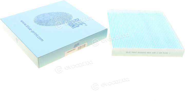 Blue Print ADG02592