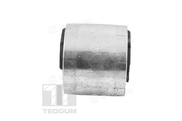 Tedgum 084755