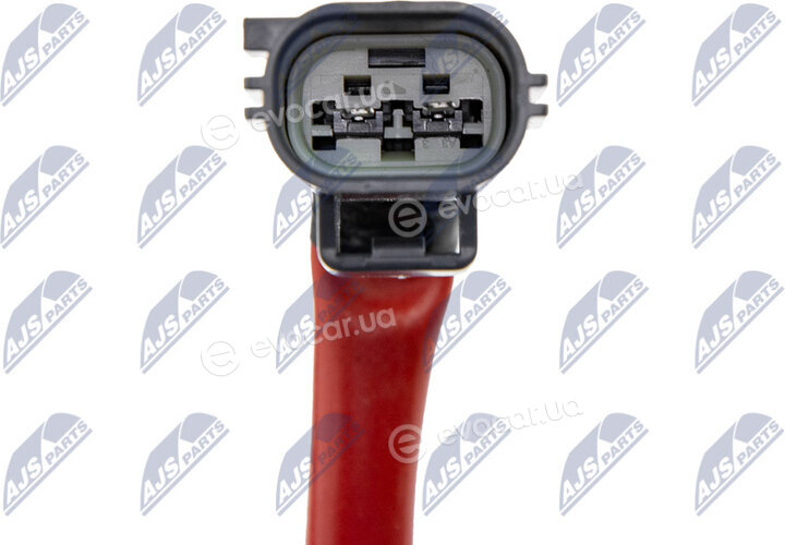 NTY BWP-CT-001