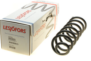 Lesjofors 4217015