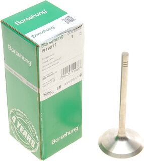 Borsehung B19017