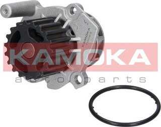 Kamoka T0023