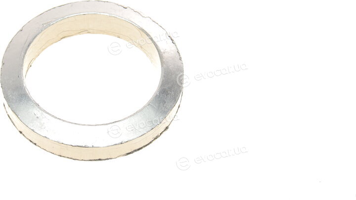 Elring 870.290