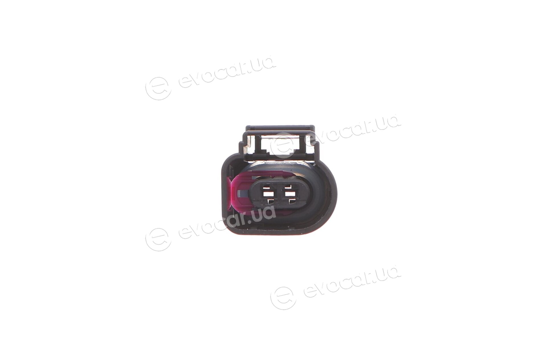 Solgy 412044