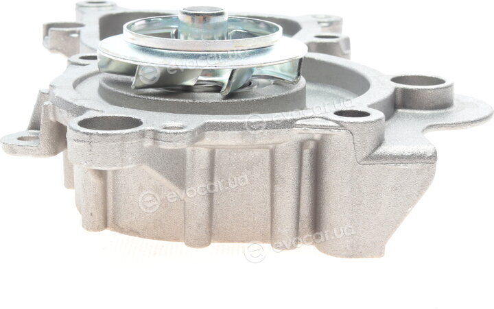 Hepu P674