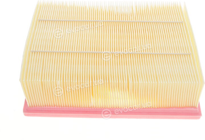 Solgy 103043