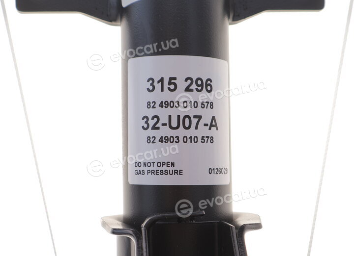 Sachs 315 296