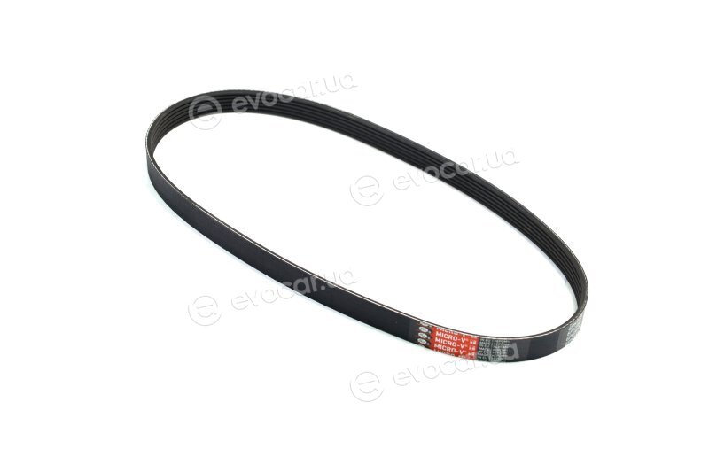 Gates 6PK955