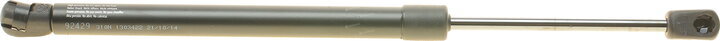 Lesjofors 8062005