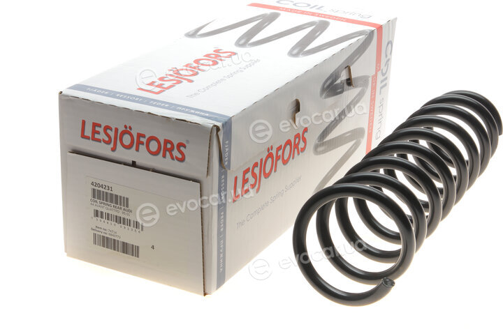 Lesjofors 4204231