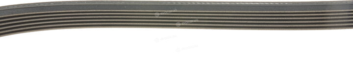 Dayco 6PK2585
