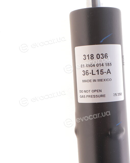 Sachs 318 036