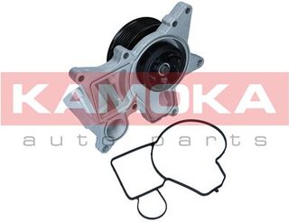 Kamoka T0298