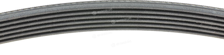 Continental 6PK1600