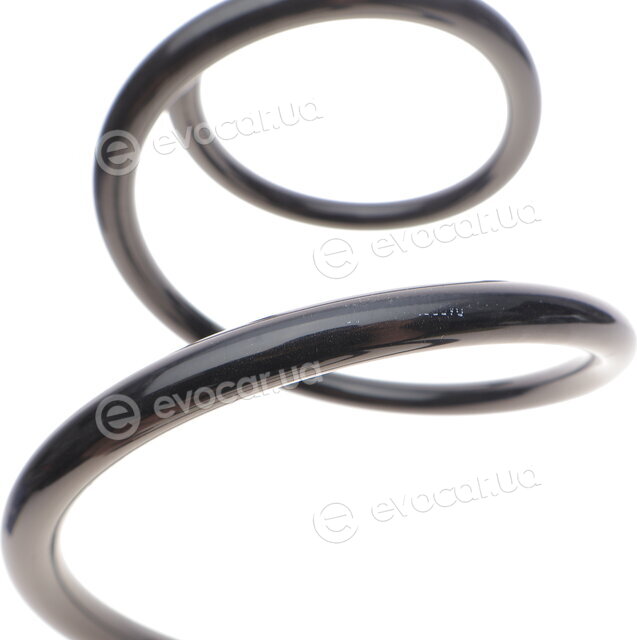 Solgy 212023