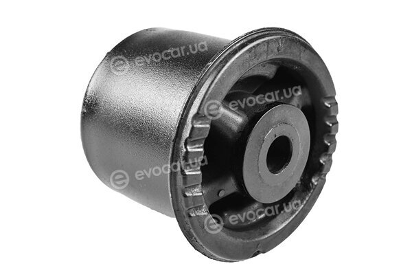 Tedgum TED55771