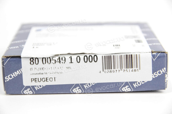 Kolbenschmidt 800054910000