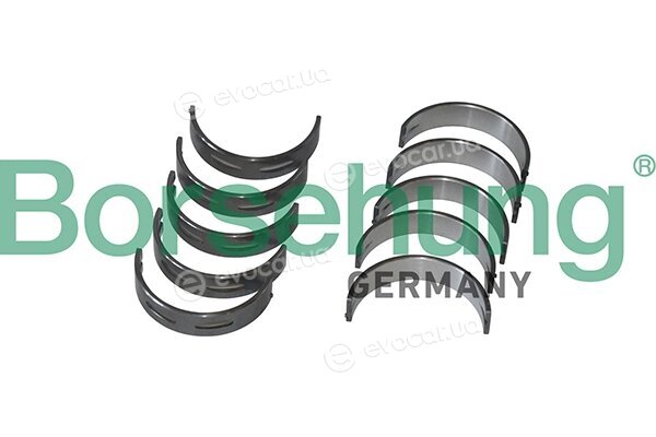 Borsehung B11326