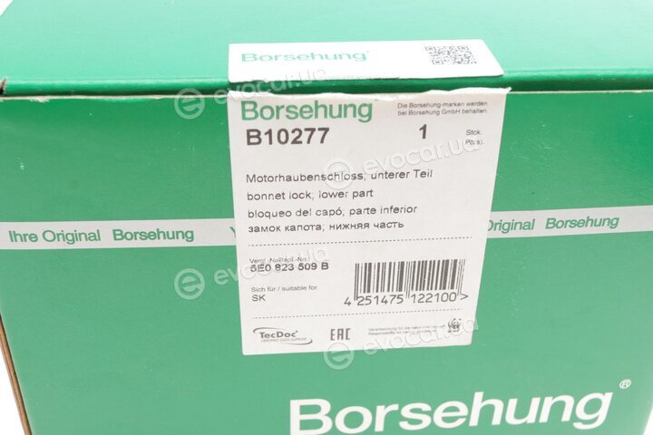 Borsehung B10277