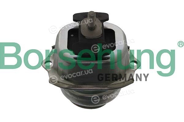 Borsehung B12633