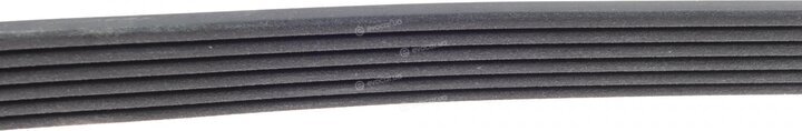 Dayco 6PK2185