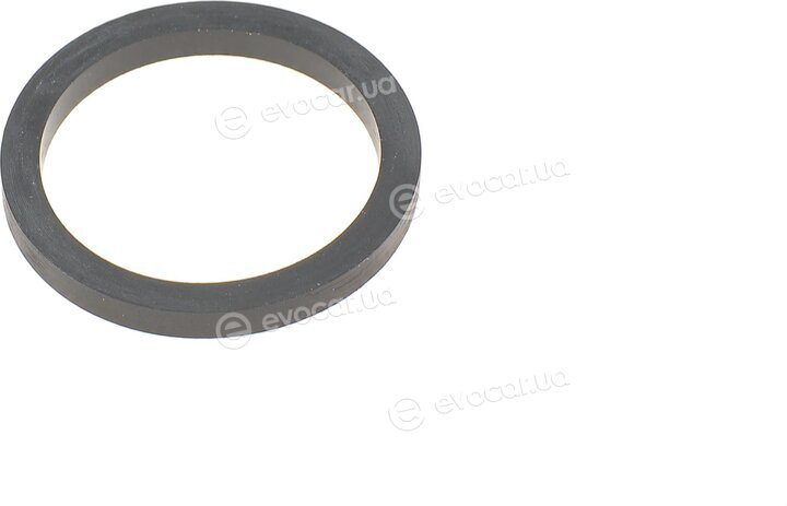 Wahler / BorgWarner 3017.92D50