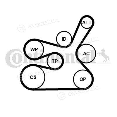 Continental 6DPK1817K2