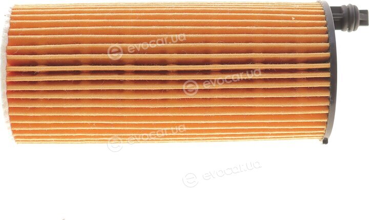 Solgy 101106