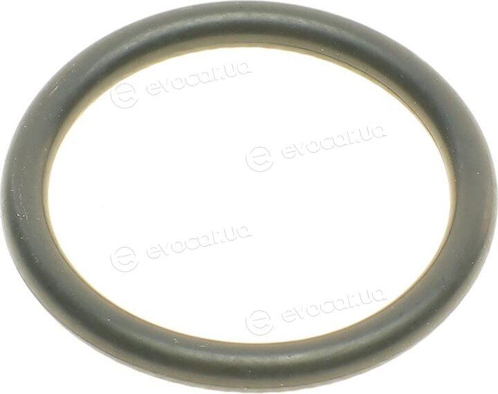 Elring 855.060