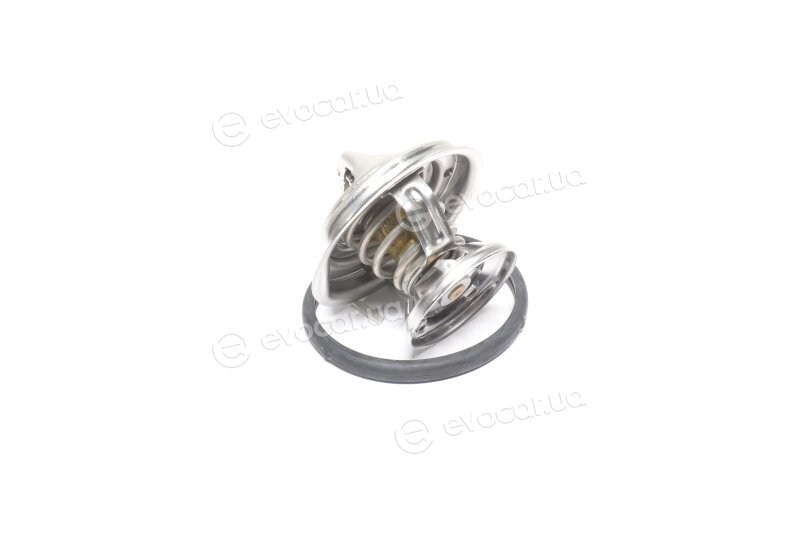 Mahle TX 29 80D