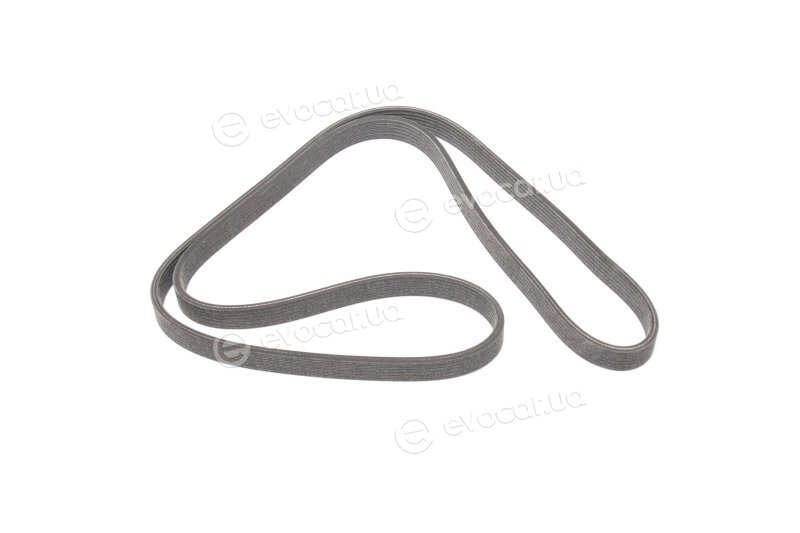 Dayco 6DPK1698