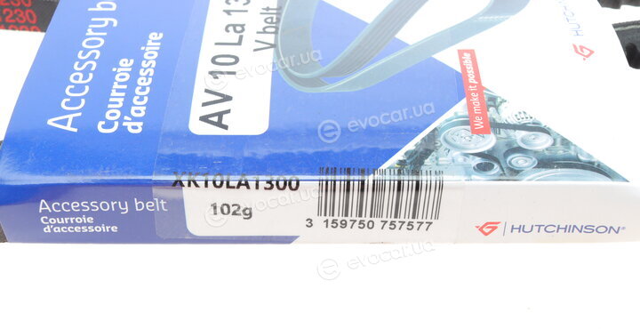 Hutchinson AV 10 La 1300
