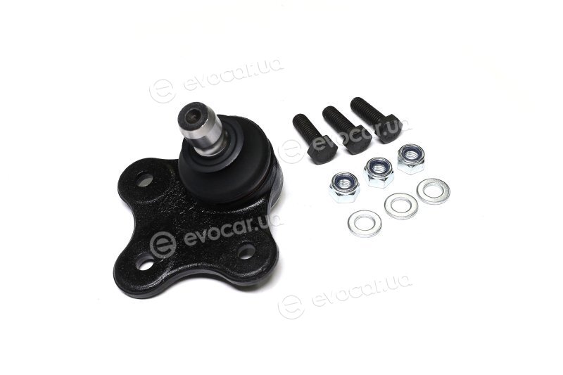 Sasic 7570004