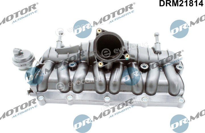 Dr. Motor DRM21814