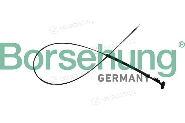 Borsehung B12343