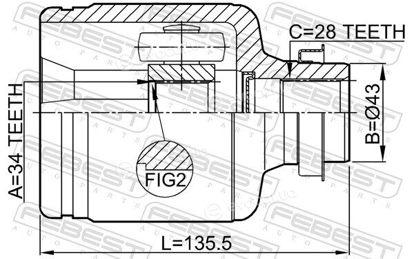 Febest 0511-BL23MTRH