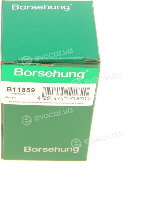 Borsehung B11859