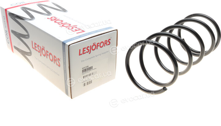 Lesjofors 4037208
