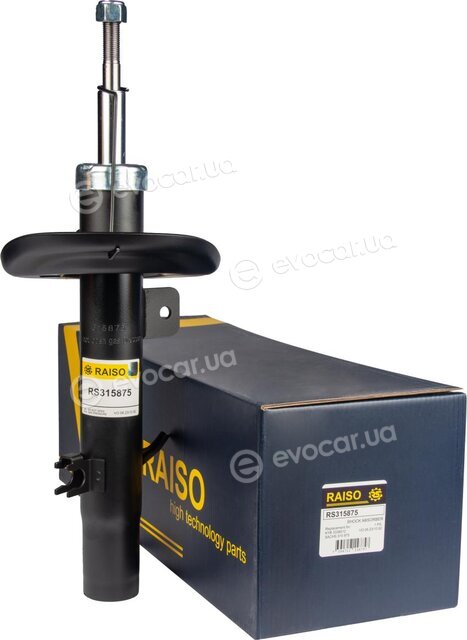 Raiso RS315875